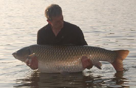 Record amur 34,80 kg